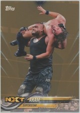 2018 Topps WWE Akam Bronze Parallel #3