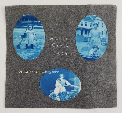 1906 antique 5p CYANOTYPE PHOTOS attached page ALICE CROSS boston? FOREST PARK