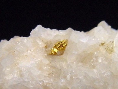 Gold kristallin in Quarz / Goldstufe 26 mm Brusson, Val d'Aosta, Italien (5816t)