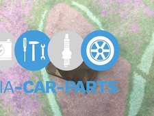Original BMW  E53 X5 3,0d  Verkleidung links 8409057