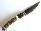 A.G. Russell STAG folding KNIFE bullet accent very nice — photo 9