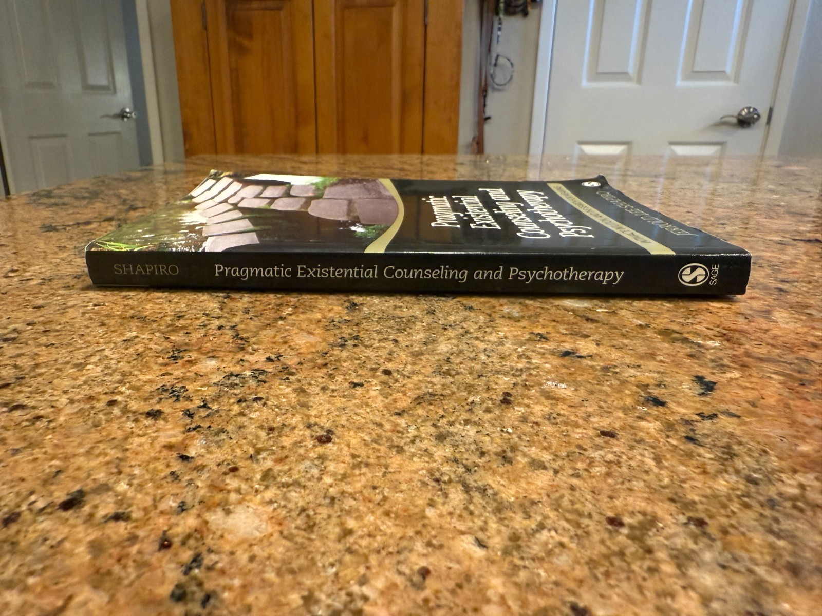 Pragmatic Existential Counseling and Psychotherapy: Intimacy, Intuit