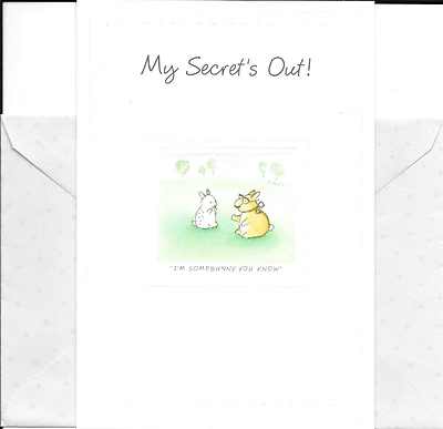 Secret Pal Bunny Rabbits My Secret's Out Love & Romance Hallmark Greeting Card