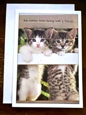 DaySpring religious friendship card, DaySpring kitten friendship card