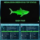 MEGALODON BABY PAIR TOP STATUS ARK ASCENDED PVE OFFICIAL PC/XBOX/PS5/AQUATIC