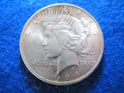 1924 Peace Silver Dollar - Bit Hazy Bright Uncirculated - VAM 1AE