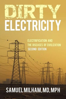 Dirty Electricity Electrification and the Diseases of Civilization Mph Buch 2012