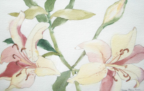 NANCY MOORE HALL - Botanical Watercolor Painting over Graphite - Circa 1980's - Picture 1 of 8