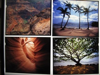 Stunning Abstract & Scenery 4x5 Film Negatives Lot of 22 Photos