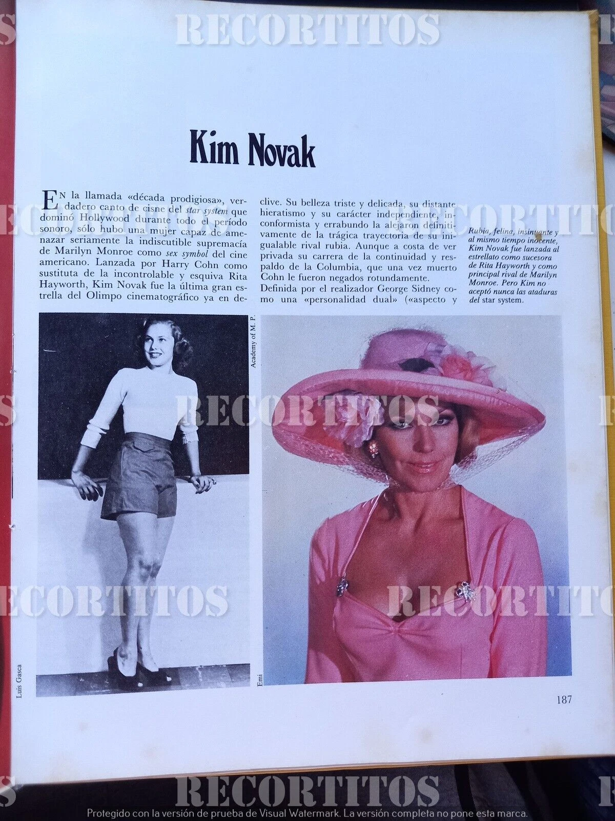 Neckline Kim Novak