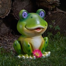 Image of Solar Powered Winking & Blinking Frog