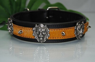 Lederhalsband Lwe mit Kuhfell 80cm x 4cm Kangal Dogge Mastino Sennenhund  Alano | eBay.de