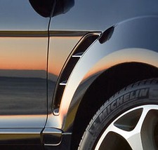 Baguette de porte Ford S-MAX