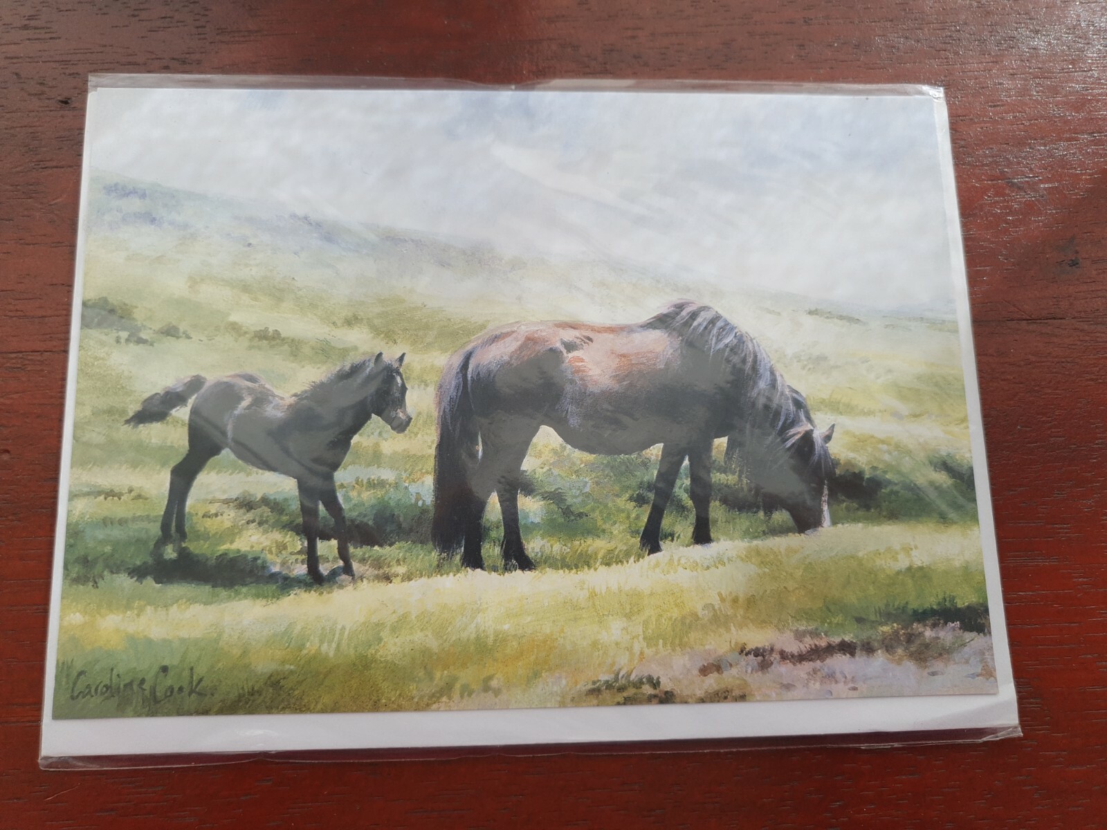 Dartmoor Ponies greetings card Dartmoor Pony birthday card HORSES blank card art