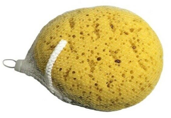 Blue Canyon Body Scrub Shower Bath Sponge