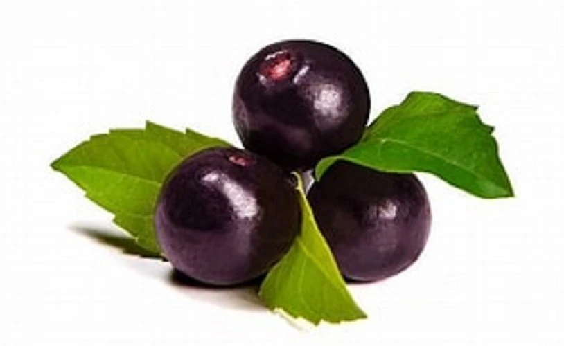 Why Weight? Apple Cinnamon USA Tray with Lid 9 High Fibre Bars Made to Order - Image 4 of 4