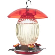 More Birds Jubilee Glass Bottle Hummingbird Feeder, 20 oz Nectar Capacity, Clear
