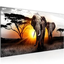 Wandbild Afrika Bilder XXL Wohnzimmer Schlafzimmer 100 x 40 cm