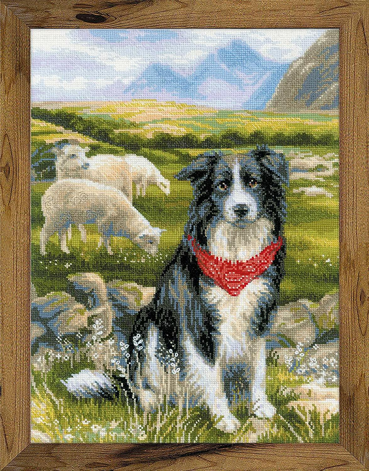Riolis Cross Stitch Kit - Border Collie and Sheep 1767