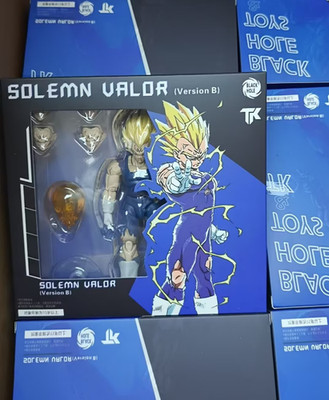 Black Hole Toys & TK Dragon Ball Z Solemn Vegeta Battle Damage Version MISB