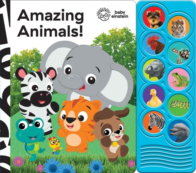 Listen & Learn Sound Book Baby Einstein Amazing Animals - Image 3