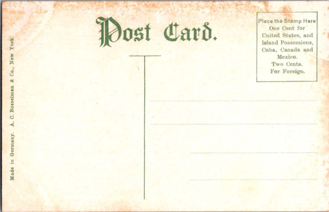 Washington DC : HOUSE SCENE s/18 BF6557