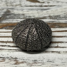 Sea Urchin Silver Metal Magnet Refrigerator Magnet