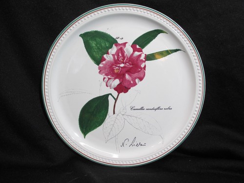 Villeroy & Boch Camellia Canduifora Rubra Decorator Plate Made in Germany - 第 1/2 張圖片