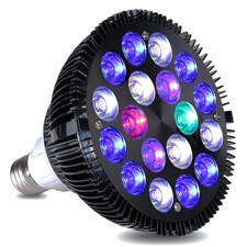 led lamp superfish