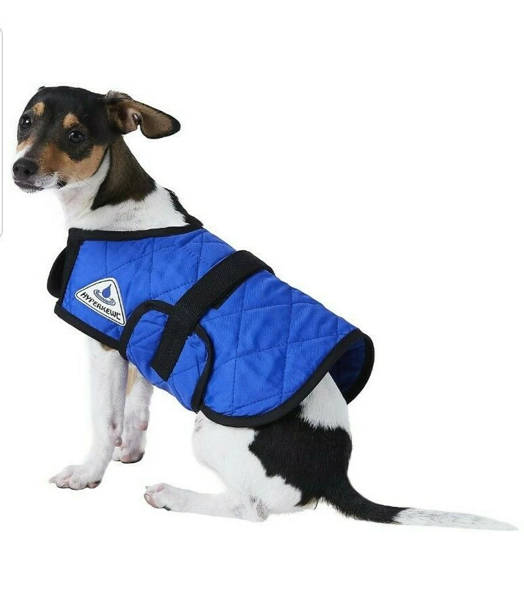 Hyperkewl evaporative sale cooling dog coat