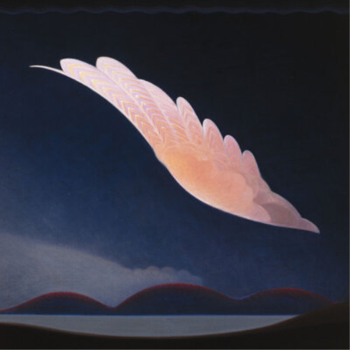 Dean McPhee Witch's Ladder (Vinyl LP) 12" Album