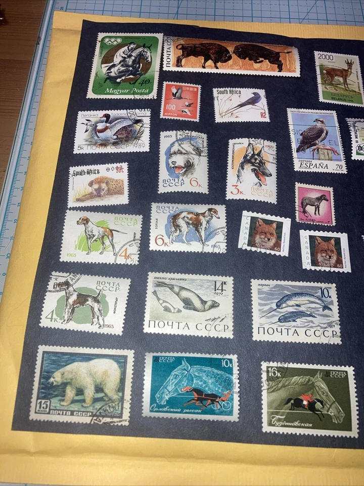 41 Intl. 动物/鱼/鸟类邮票 1965 - 1981 年。 全新无标签/已取消。 $1 船。 优惠! — 第 3/4 张图片