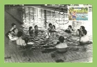 Guernsey 1981 Disabled Swimming Maximum Card, FDI
