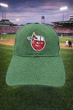 Fort Wayne TinCaps Team Logo Baseball Hat Cap One Size Adjustable Indiana