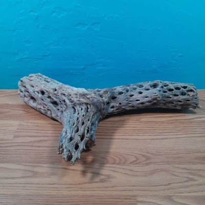 Cholla Wood Branch Aquarium Perch Reptile Snake Lizard Natural Home Decoration 