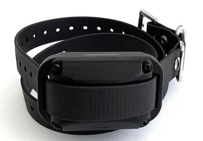 USED - E-Collar - RX-050 FOB Educator Receiver - Black - Additional Collar