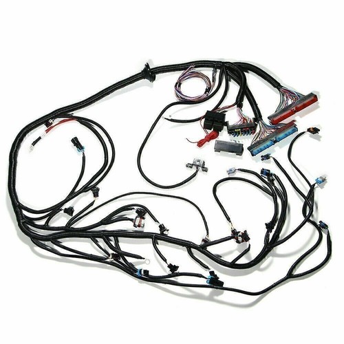 LS Swap LS1 Engine STANDALONE HARNESS T56 Manual Tran 4.8L/ 5.3L/ 6.0L 97-06 DBC - Bild 6 von 16