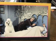 THE BEVERLY HILLBILLIES T.V. SHOW ~ TRADING CARD # 75 PROBLEM BEAR