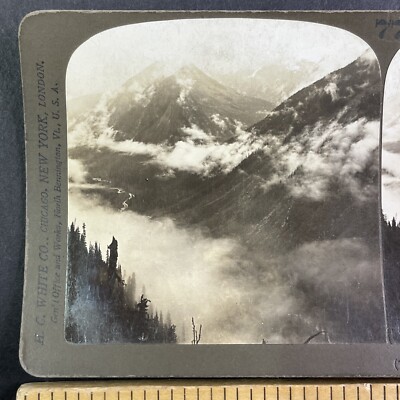 Selkirks Mountain Valley British Columbia Stereoview Canada c1906