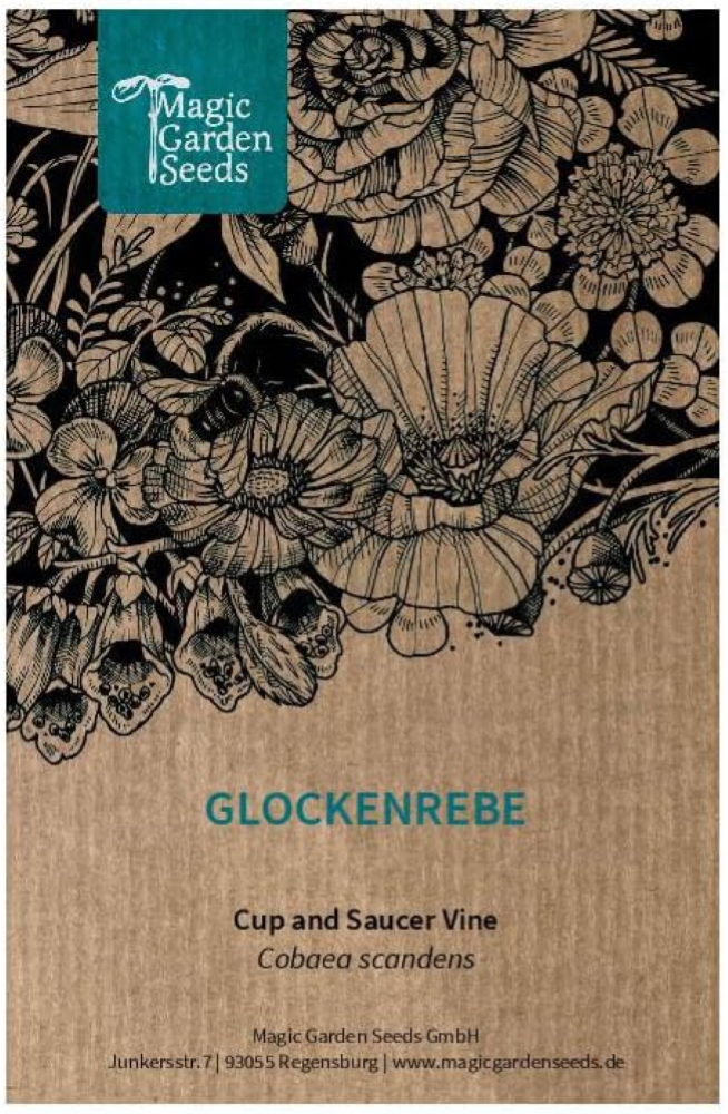 Cobea (Cobaea scandens) 5 semi campanula rampicante tropicale annuale