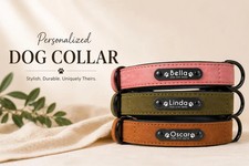 Personalisiertes Hundehalsband mit Name & Telefonnummer | Verstellbar