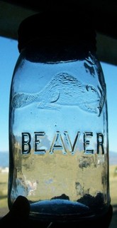 VINTAGE CANADIAN BEAVER FACING RIGHT CHEWING LOG FRUIT JAR