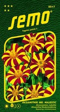 Ausgebreitete Studentenblume „Mr. Majestic“ - Tagetes patula