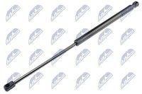 Nty Gasfeder, Koffer-/Laderaum AE-CT-031 FüR CitroËN