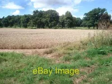 Photo 6x4 Wheat field near Homend Park Stretton Grandison Looking northwa c2007