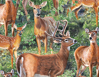 FAT QUARTER  WHITE TAIL DEER WILD WINGS CRADLE ROCK  100% COTTON FABRIC SPRINGS