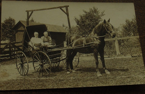 RPPC  Gramps & Granny Proud of their Percheron & Studebaker Buggy       C#40