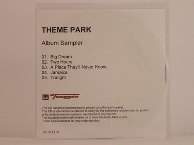 THEME PARK BIG DREAM (C63) 5 Track Promo CD Single including Picture Sleeve TRAN