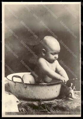 Baby in wash basin with cat 5 x 7 Brown Brothers Original Type 1 Photograph C223