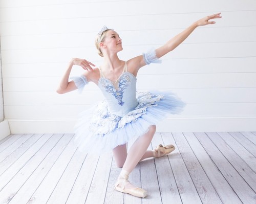 Professional Bluebird ballet costume